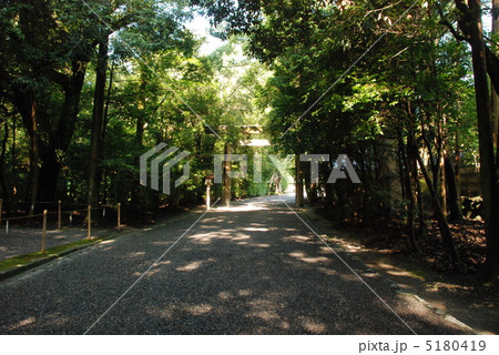 参道と二の鳥居（伊勢神宮･外宮／三重県伊勢市豊川町） 5180419