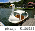 白鳥ボート 5180585