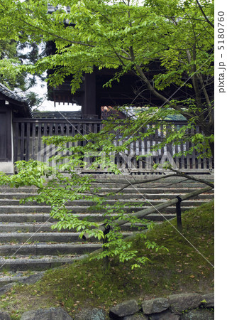 青蓮院門跡　四脚門 5180760