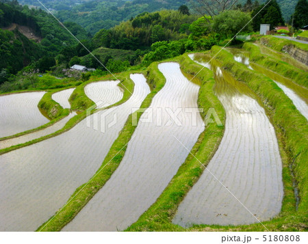 大垪和の棚田〜近景〜 5180808