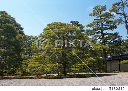京都大宮御所の前庭 5180812