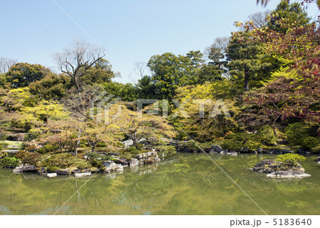 仙洞御所 南池の中島 仙洞御所 南池の中島 5183640