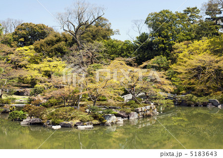 仙洞御所 南池の中島 仙洞御所 南池の中島 5183643