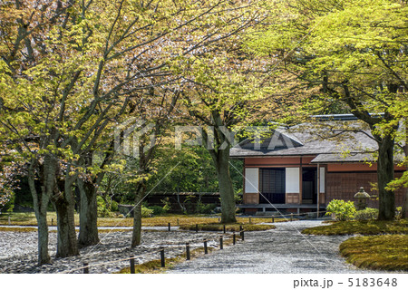 仙洞御所　醒花亭と南池の桜の馬場 5183648