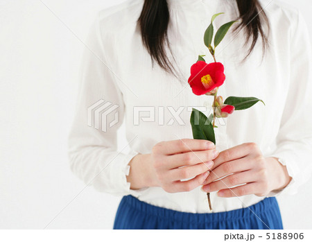 持つ 花 椿の写真素材