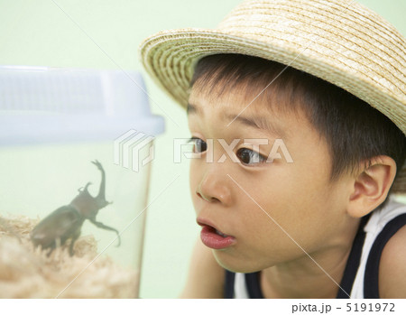 虫かごを覗く男の子 虫かごを覗く男の子 5191972
