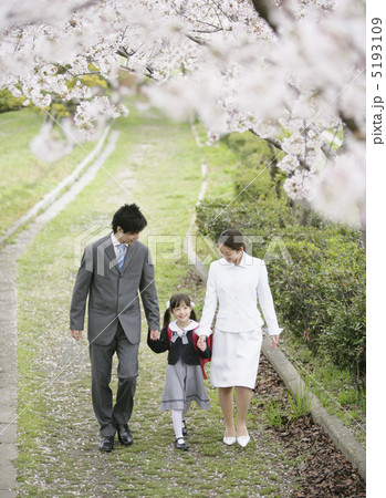 桜並木を手を繋いで歩く親子 5193109