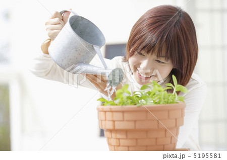植物に水掛けをする日本人女性 植物に水掛けをする日本人女性 5195581