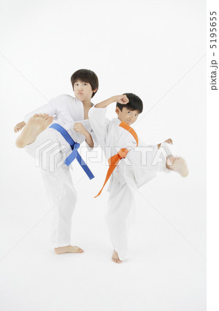 空手をする二人の男の子 5195655