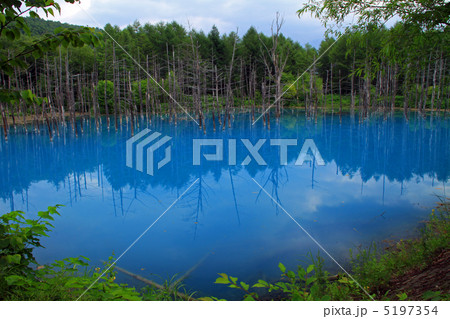 青い池 5197354