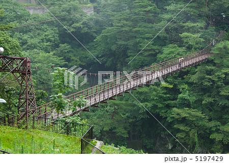 鬼怒川温泉の鬼怒楯岩大吊橋 5197429