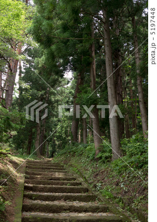 猪苗代　土津神社の奥の院に続く参道 5197448