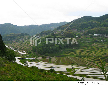 夕暮れの棚田 夕暮れの棚田 5197509