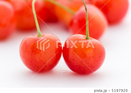 サクランボ 5197920