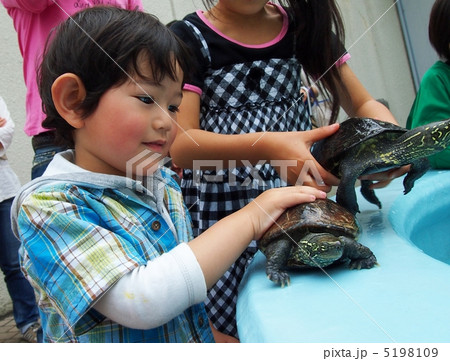 男の子と亀 5198109