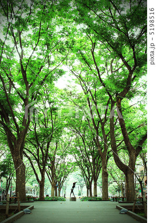 仙台定禅寺通り 2012.夏 5198516