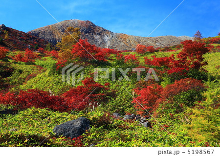 草津白根山 芳ヶ平の紅葉の写真素材