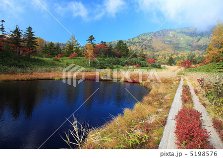 草津白根山　芳ヶ平湿原の紅葉 5198576