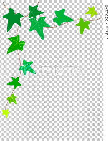 アイビーフレーム 5201249