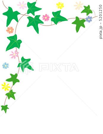 アイビーと花のフレーム 5201250