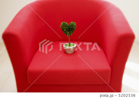 ソファの上の植物 ソファの上の植物 5202536