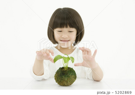 植物と女の子 5202869