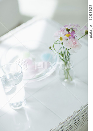 グラスと花 グラスと花 5203622