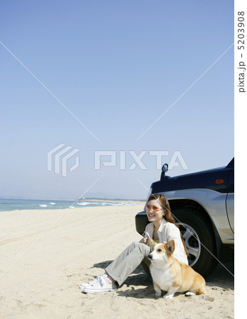 砂浜に犬と座る女性 5203908