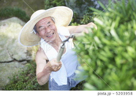 庭木の剪定をする男性 5203958