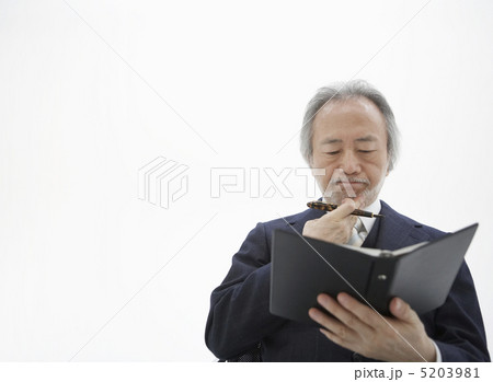 手帳を見るビジネスマン男性 5203981