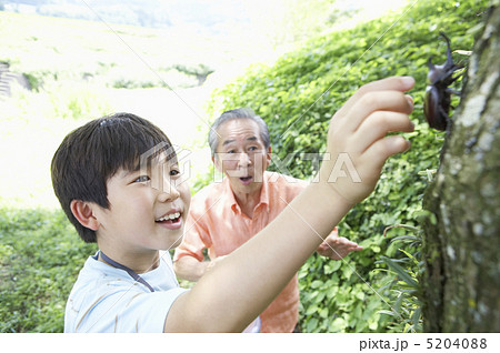 カブトムシを捕まえる孫と祖父 5204088