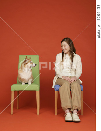 イスに座って見つめあう犬と女性 5204453