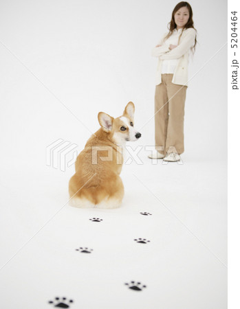 立っている女性と足跡をつけた犬 5204464