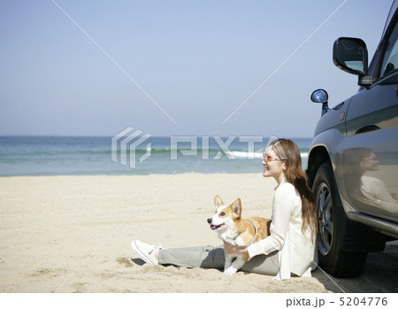 砂浜に座って犬を抱く女性 5204776