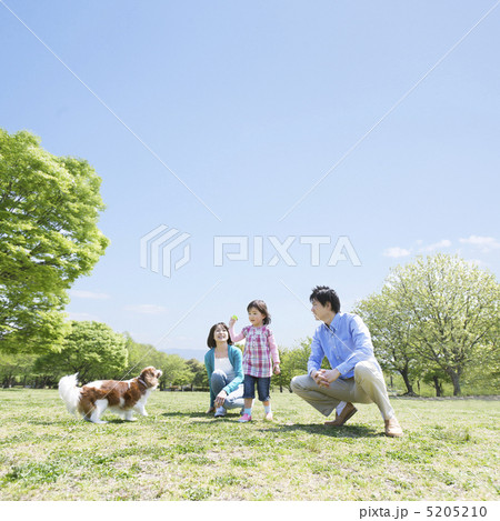 犬と戯れる家族 犬と戯れる家族 5205210