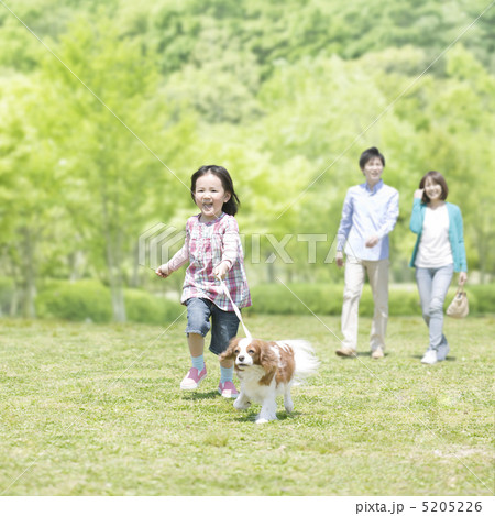 散歩する家族と犬 5205226