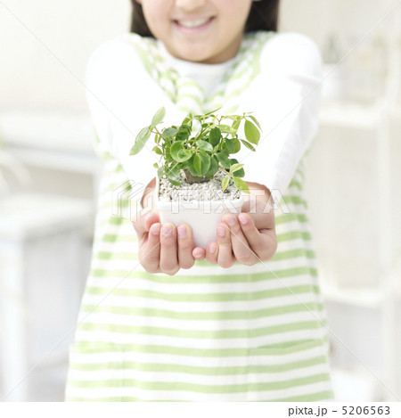 鉢植えを差し出す女の子 5206563