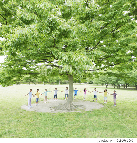 木の下で手をつなぐ子供たち 5206950