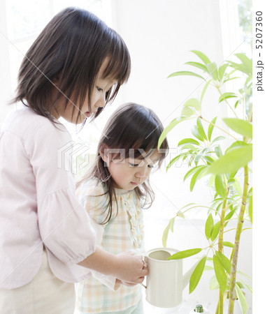 植物に水をやる姉妹 植物に水をやる姉妹 5207360