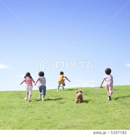 草原を走る日本人の子供達と犬の写真素材 577