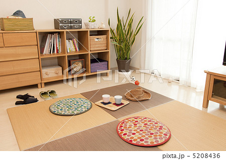 い草があるリビング 5208436