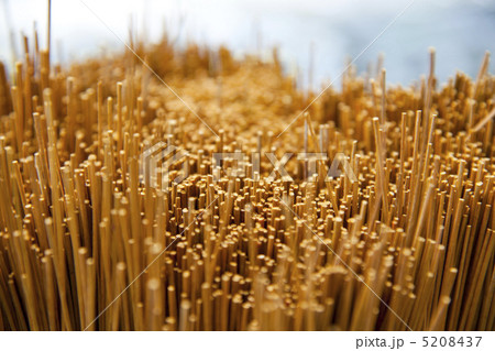 い草のアップ 5208437