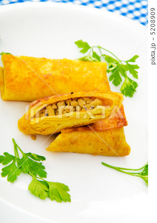 Patties with meat in the plate 5208909