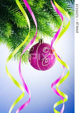 Baubles on christmas tree in celebration concept Baubles on christmas tree in celebration concept 5209319