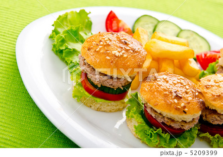 Burgers with french fries in plate Burgers with french fries in plate 5209399