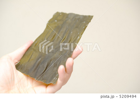 乾燥コンブを持つ手 5209494