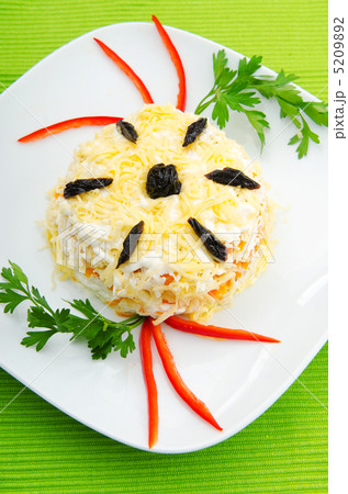 Delicious salad in the plate 5209892
