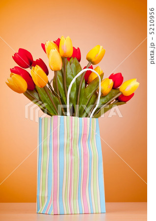 Tulips in the bag against gradient background Tulips in the bag against gradient background 5210956