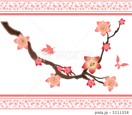 桜ブランチと蝶 5211358