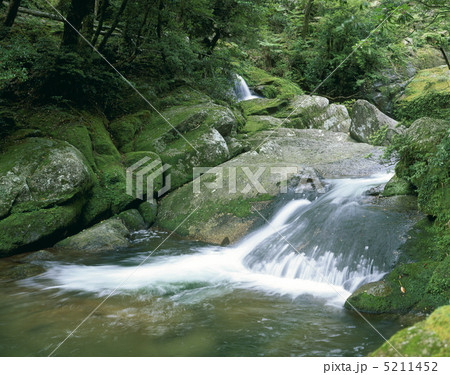 白谷雲水峡 5211452